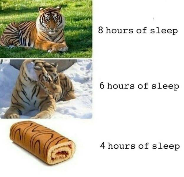 Daily Pictures. Part 2 (59 pics)