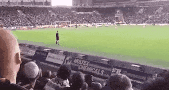 Acid GIFs, March 27 (25 gifs) Acid GIFs, March 27 (25 gifs)
