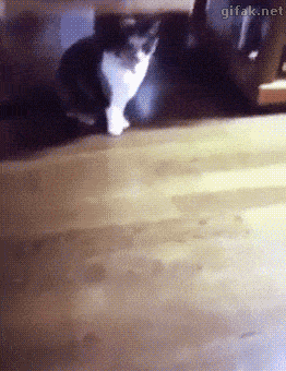 Acid GIFs, March 27 (25 gifs) Acid GIFs, March 27 (25 gifs)