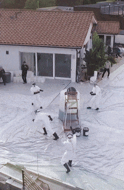 Acid GIFs, March 27 (25 gifs) Acid GIFs, March 27 (25 gifs)