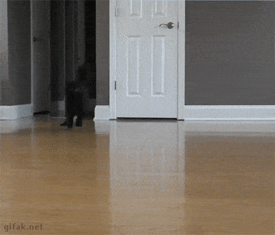 Acid GIFs, March 27 (25 gifs) Acid GIFs, March 27 (25 gifs)