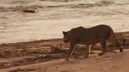 Acid GIFs, March 27 (25 gifs) Acid GIFs, March 27 (25 gifs)