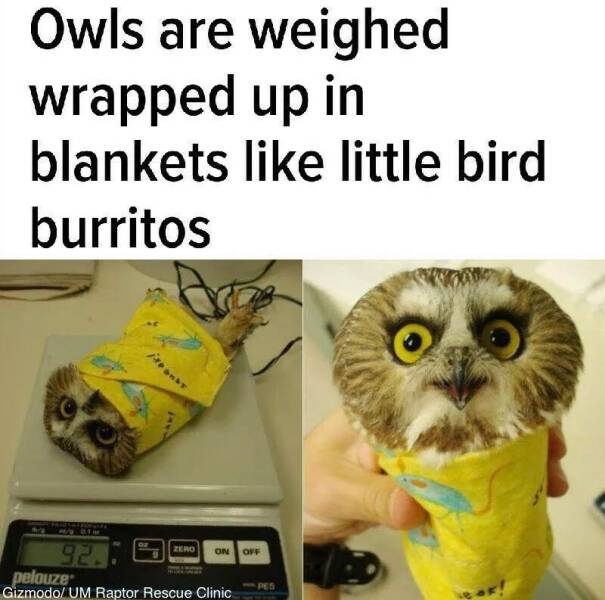 Daily Pictures. Part 2 (56 pics)