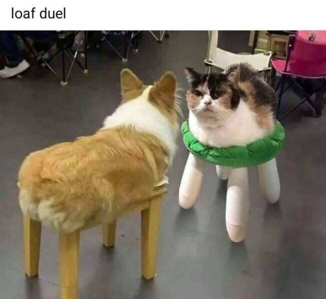 Daily Pictures. Part 2 (56 pics)