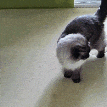 Acid GIFs, March 28 (25 gifs) Acid GIFs, March 28 (25 gifs)