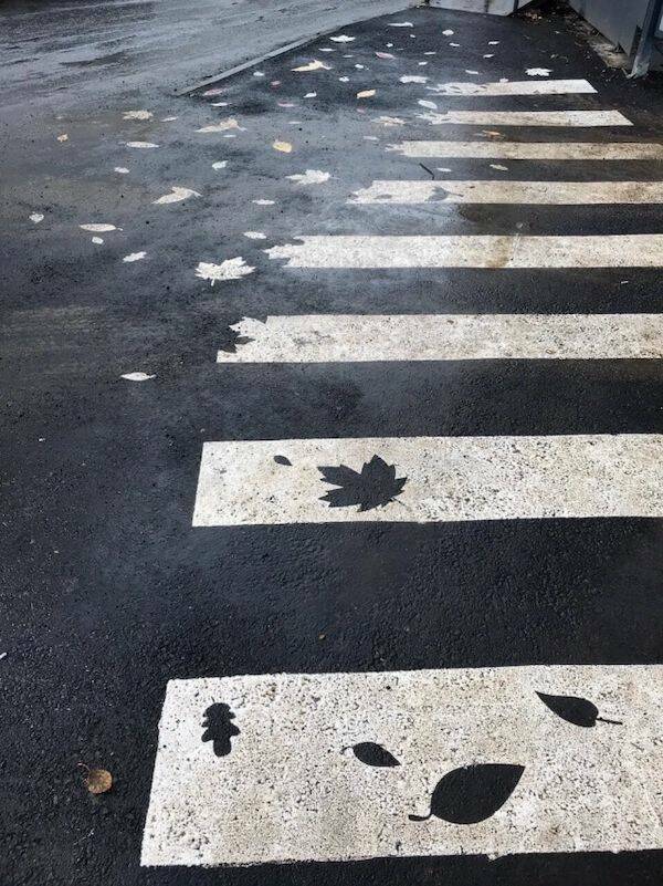 Daily Pictures. Part 1 (61 pics)