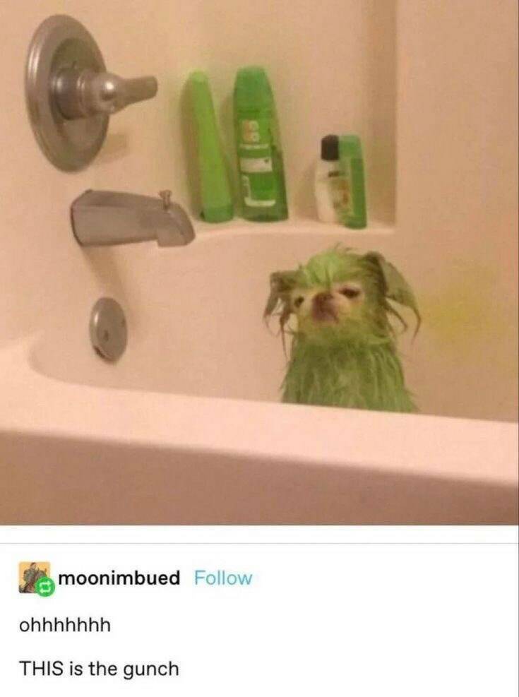 Daily Pictures. Part 2 (60 pics)