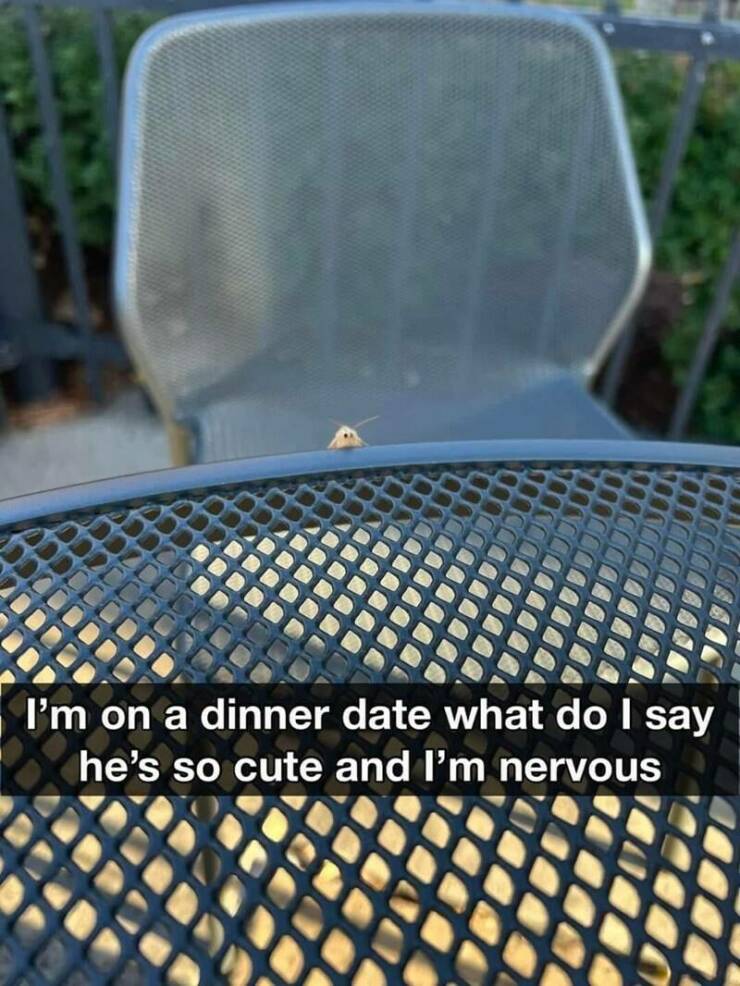 Daily Pictures. Part 2 (60 pics)