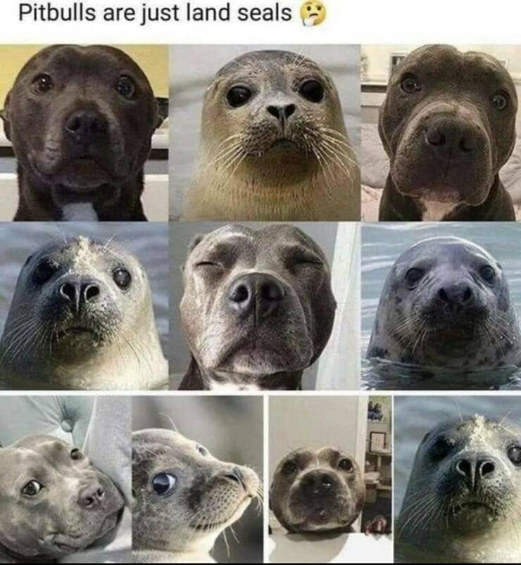 Daily Pictures. Part 2 (60 pics)