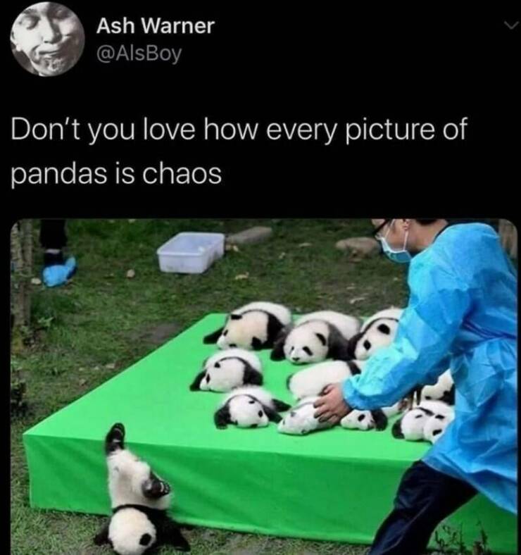 Daily Pictures. Part 2 (60 pics)