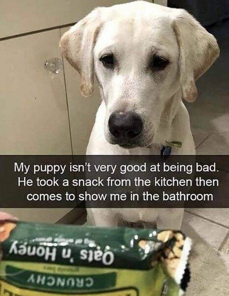 Daily Pictures. Part 2 (60 pics)
