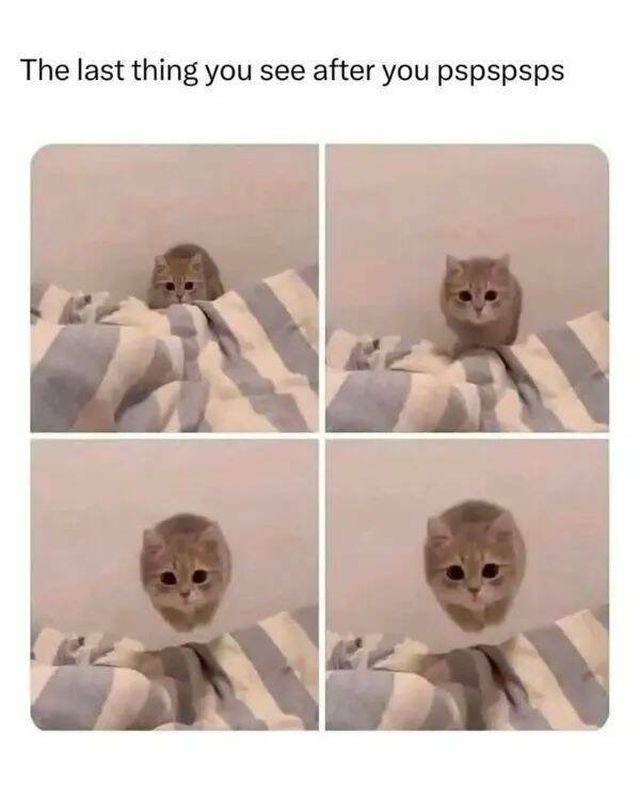 Kind Jokes (23 pics)