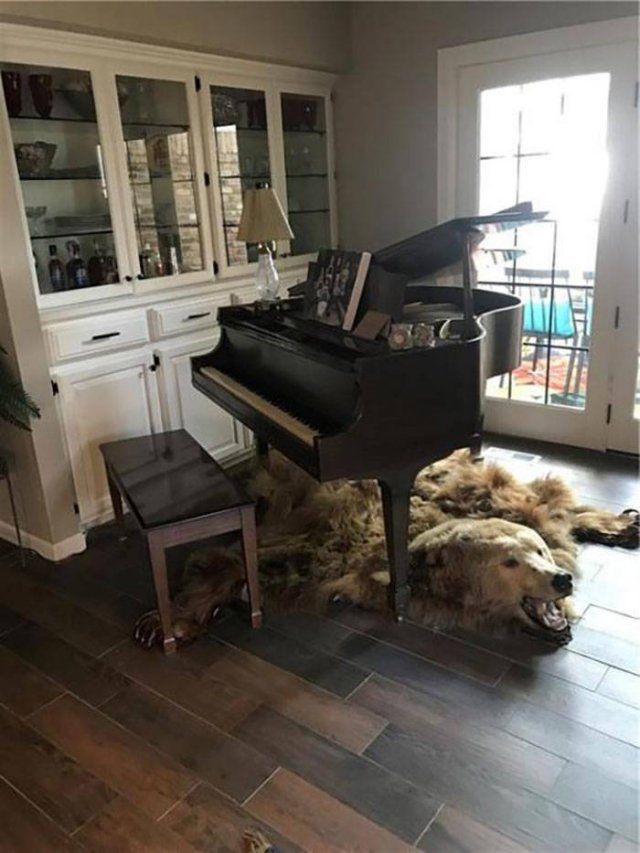 Weird Finds In Rental Properties (24 pics)