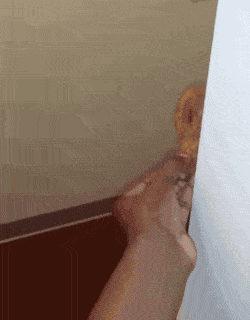 Acid GIFs, April 1 (25 gifs) Acid GIFs, April 1 (25 gifs)
