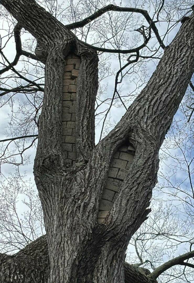 Daily Pictures. Part 1 (67 pics)