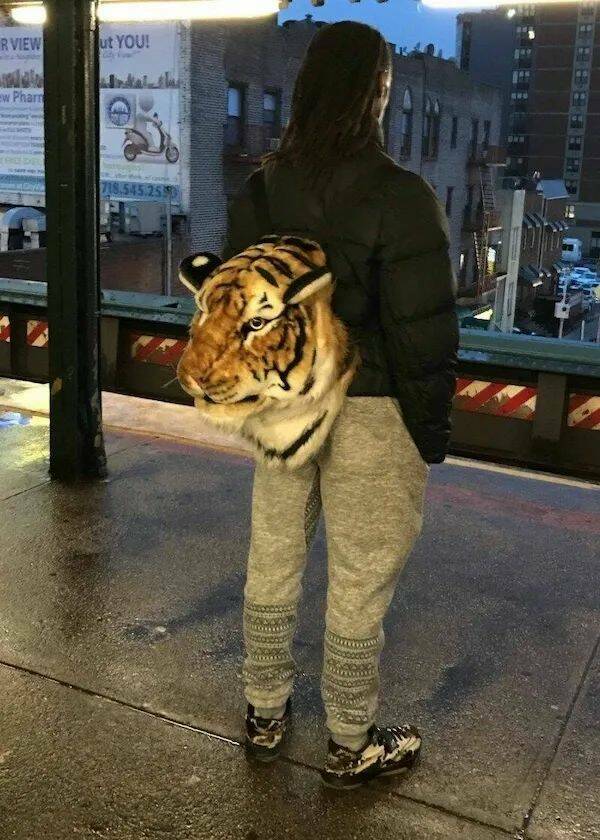 Daily Pictures. Part 2 (65 pics)