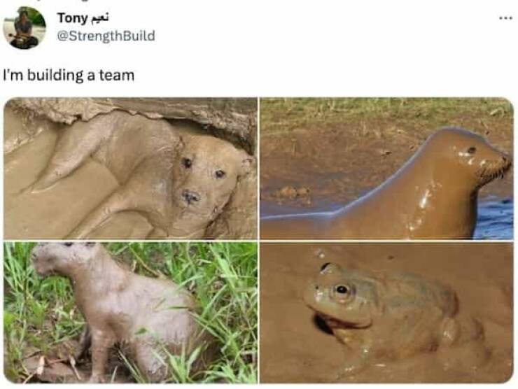 Daily Pictures. Part 2 (65 pics)