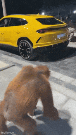 Acid GIFs, April 3 (25 gifs) Acid GIFs, April 3 (25 gifs)