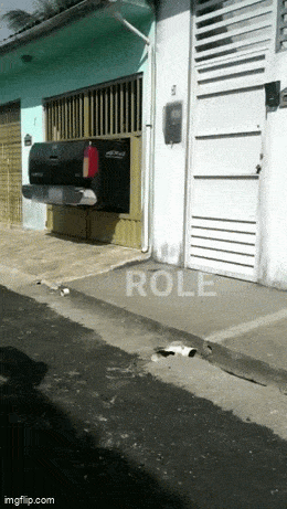 Acid GIFs, April 3 (25 gifs) Acid GIFs, April 3 (25 gifs)