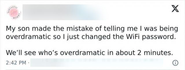 Sarcastic Parenting Tweets (15 pics)