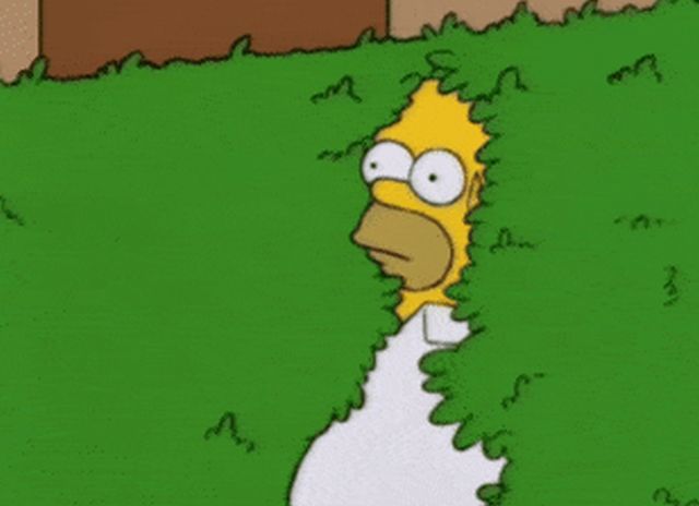 Odd Thoughts (14 gifs)