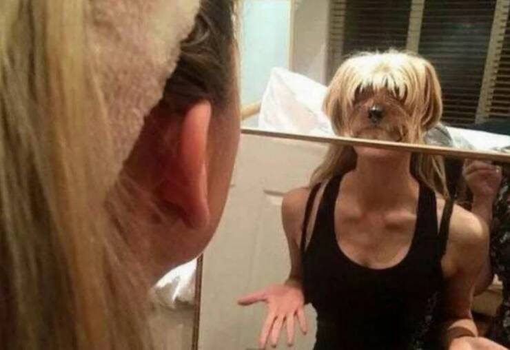 Daily Pictures. Part 1 (56 pics)