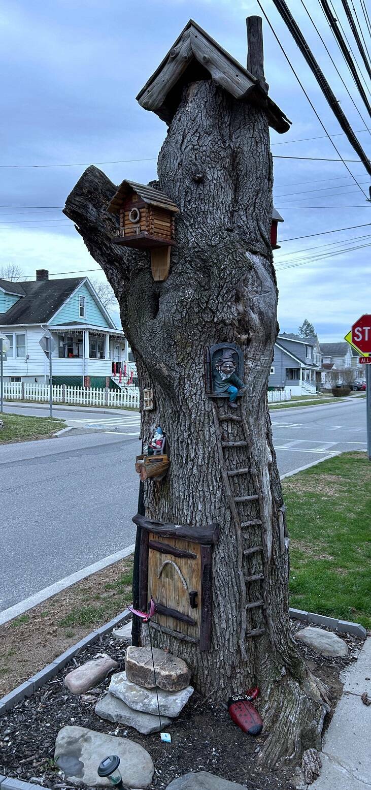 Daily Pictures. Part 1 (56 pics)