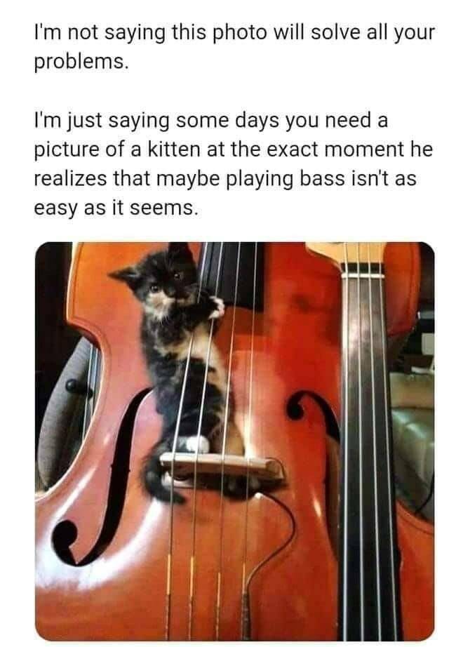 Daily Pictures. Part 2 (55 pics)
