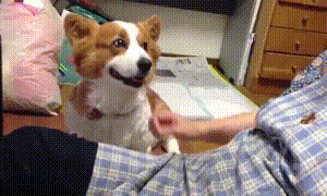 Acid GIFs, April 4 (25 gifs) Acid GIFs, April 4 (25 gifs)