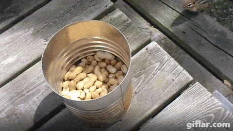 Acid GIFs, April 4 (25 gifs) Acid GIFs, April 4 (25 gifs)