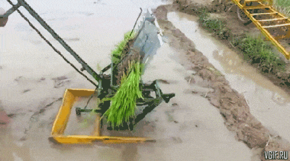 Acid GIFs, April 4 (25 gifs) Acid GIFs, April 4 (25 gifs)