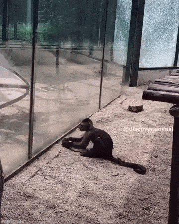 Acid GIFs, April 7 (25 gifs) Acid GIFs, April 7 (25 gifs)