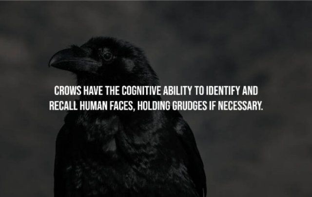 Creepy Facts (15 pics)