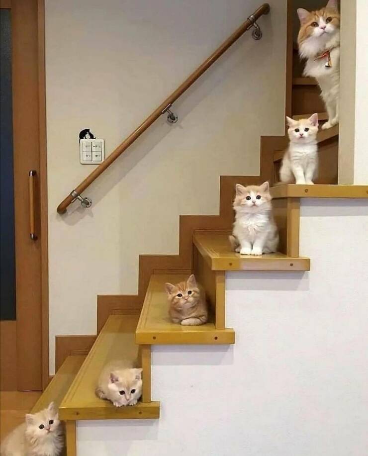 Daily Pictures. Part 2 (64 pics)