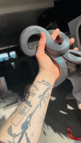 Acid GIFs, April 8 (25 gifs) Acid GIFs, April 8 (25 gifs)