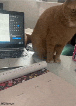 Acid GIFs, April 8 (25 gifs) Acid GIFs, April 8 (25 gifs)
