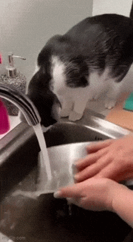 Acid GIFs, April 8 (25 gifs) Acid GIFs, April 8 (25 gifs)