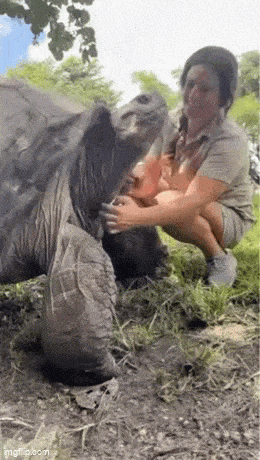 Acid GIFs, April 8 (25 gifs) Acid GIFs, April 8 (25 gifs)