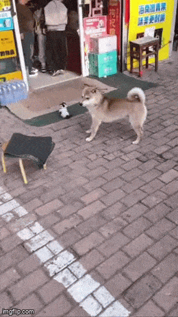 Acid GIFs, April 8 (25 gifs) Acid GIFs, April 8 (25 gifs)