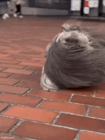 Acid GIFs, April 8 (25 gifs) Acid GIFs, April 8 (25 gifs)