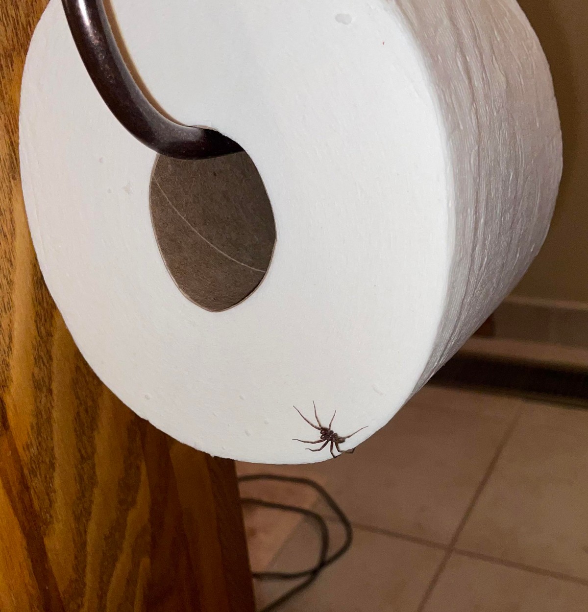 Bad Days Happen (20 pics)