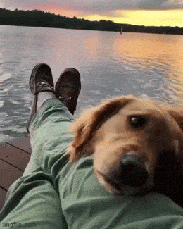 Acid GIFs, April 9 (25 gifs) Acid GIFs, April 9 (25 gifs)