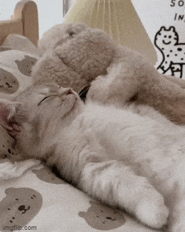 Acid GIFs, April 9 (25 gifs) Acid GIFs, April 9 (25 gifs)