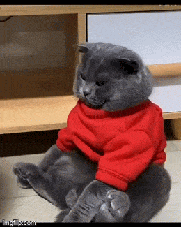 Acid GIFs, April 9 (25 gifs) Acid GIFs, April 9 (25 gifs)