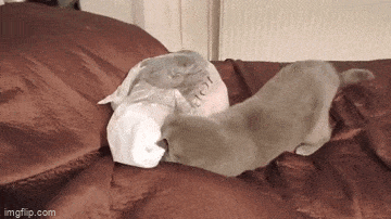 Acid GIFs, April 10 (25 gifs) Acid GIFs, April 10 (25 gifs)
