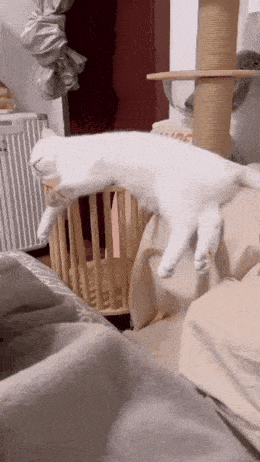 1744212530_13.gif