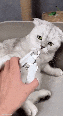 Acid GIFs, April 10 (25 gifs) Acid GIFs, April 10 (25 gifs)