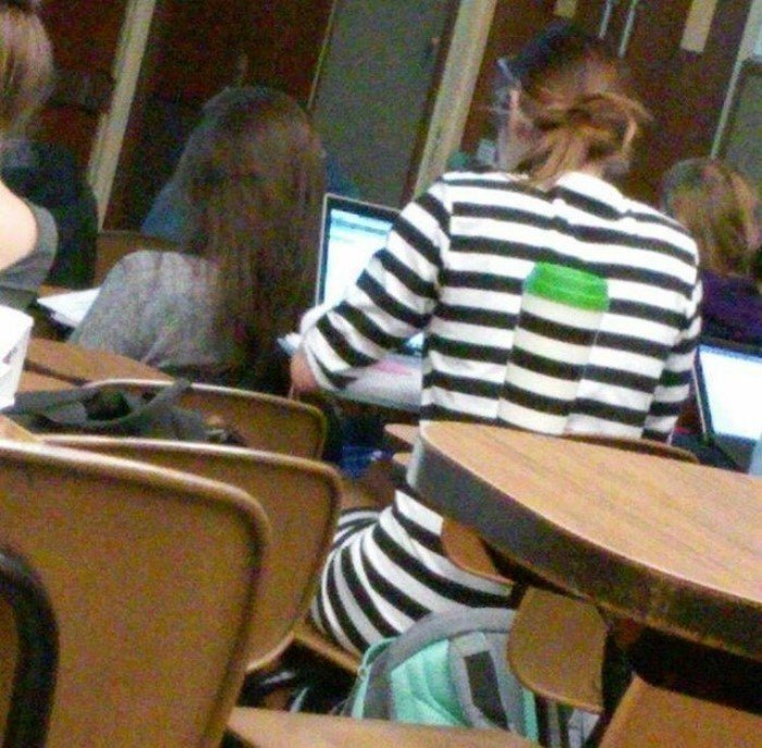 Perfect Camouflage (15 pics)