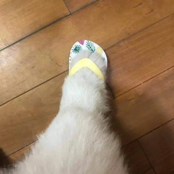 Daily Pictures. Part 1 (62 pics)