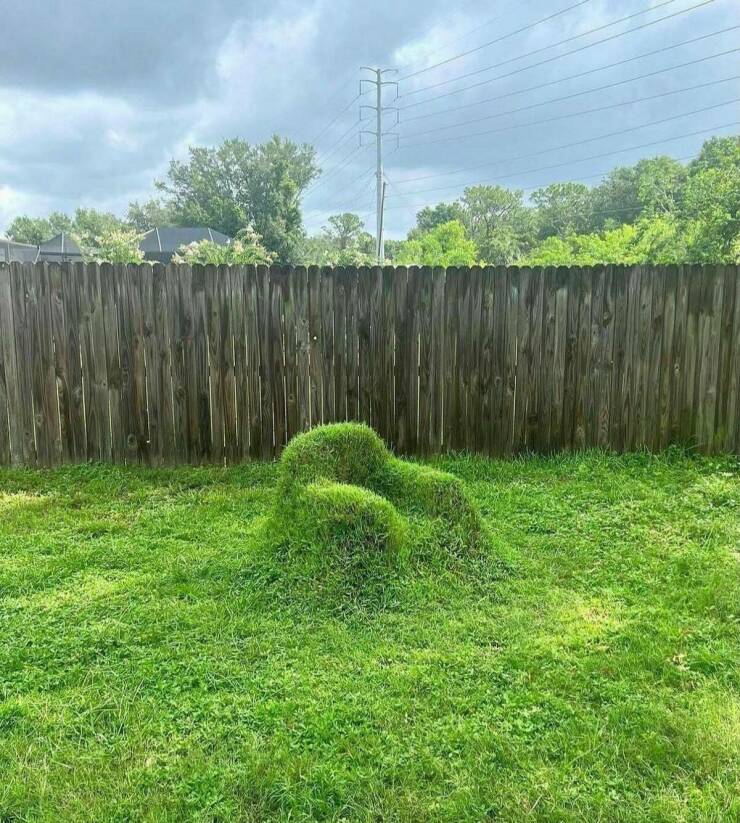 Daily Pictures. Part 2 (61 pics)